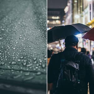 Feelings for Sweet Spring - Luxury Lounge Cafe Allstars