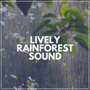 Lively Rainforest Sound - Rain Man Sounds