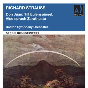 R. Strauss: Orchestral Works - Richard Strauss