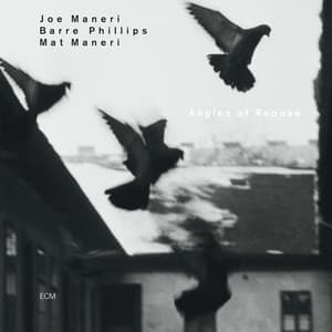 Angles Of Repose - Joe Maneri
