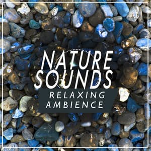 Nature Sounds: Relaxing Ambience - Ambiance nature