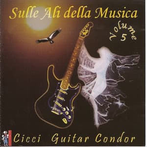 Sulle Ali Della Musica Vol. 5 - Cicci Guitar Condor