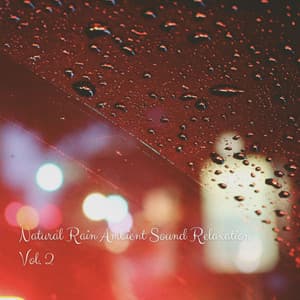 Natural Rain Ambient Sound Relaxation Vol. 2 - Coffee House Instrumental Jazz Playlist
