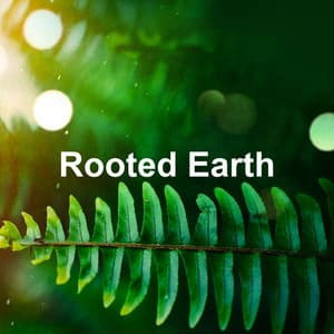Rooted Earth - The Sound Of The Jungle