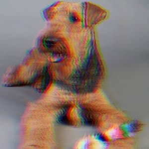 Jazz Guitar - Background Music for Jazzy Dogs - Relajado Musica Relajante para Perros