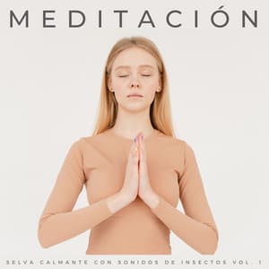 Meditación: Selva Calmante Con Sonidos De Insectos Vol. 1 - Sonidos De Todos Ruídos