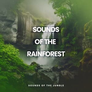 Sounds of the Rainforest - Sounds of the Jungle