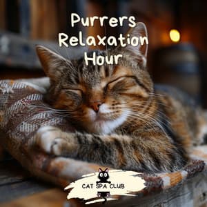 Purrers Relaxation Hour - Cat Spa Club