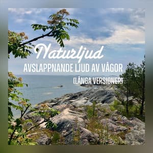 Avslappnande ljud av vågor - Naturljud