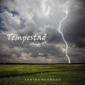 Sonido de Fondo: Tempestad - Fondo de la lectura