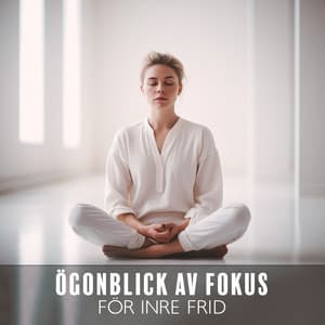 Ögonblick av fokus för inre frid - Lugn Musik Atmosfär