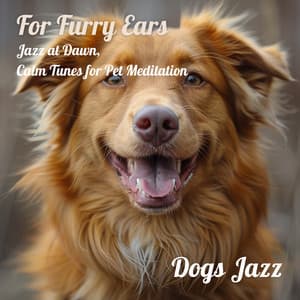For Furry Ears: Jazz at Dawn, Calm Tunes for Pet Meditation - Dogs Jazz