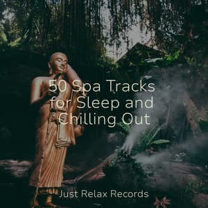 50 Spa Tracks for Sleep and Chilling Out - Naturaleza Sonidos