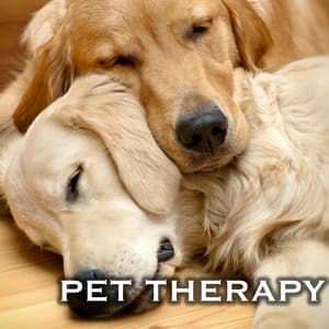 Pet Therapy - Relaxing Music for Dogs and Cats - Dog Music