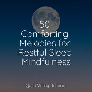50 Comforting Melodies for Restful Sleep Mindfulness - Rain Sounds Collection