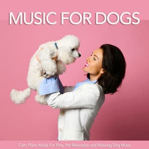 Music For Dogs: Calm Piano Music For Pets, Pet Relaxation and Relaxing Dog Music - Dog Music