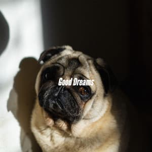 Good Dreams - Boutique Hotel Music