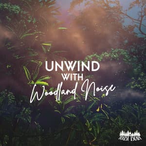 Unwind With Woodland Noise - The Forest Escape