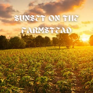 Sunset on the Farmstead - Two Seconds to Wild West