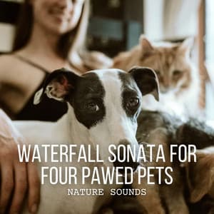 Nature Sounds: Waterfall Sonata for Four Pawed Pets - Water FX
