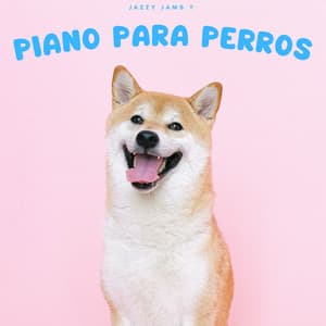Jazzy Jams Y Piano Para Perros - Piano de jazz clásico