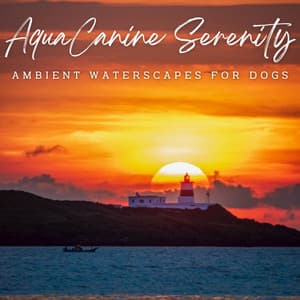 AquaCanine Serenity: Ambient Waterscapes for Dogs - Non-stop Waves Channel