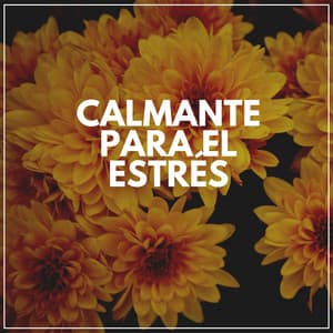 Calmante Para El Estrés - Música de relajación profunda
