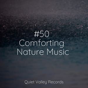 #50 Comforting Nature Music - Master Meditação