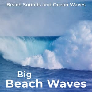Big Beach Waves - Beach Sounds and Ocean Waves