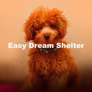 Easy Dream Shelter - Dog Chill Out Music