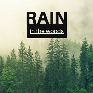 Rain in the Woods - Soft Raindrop, Quiet & Distant Thunder for Deep Relaxation - Rain Sounds