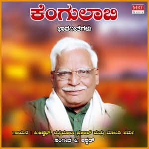 Kengulaabi - C. Ashwath