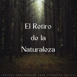 El Retiro De La Naturaleza: Sonidos Ambientales Para Mascotas Felices - Effectum