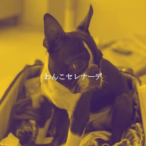 わんこセレナーデ - Smooth Jazz Sax Instrumental