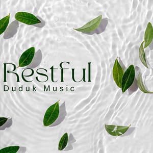 Restful Duduk Music: Healing and Spiritual Journey with Armenian Melodies for Body Relaxation - Mindfulness Meditation Music Spa Maestro