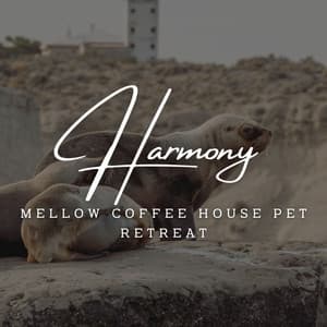Paws & Jazz Serenity: Coffee Lounge Harmony - Cafe BGM Japan
