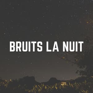 Bruits LA Nuit - Bruit Blanc Dormir