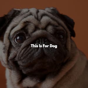 This Is For Dog - Breakfast Lounge Music