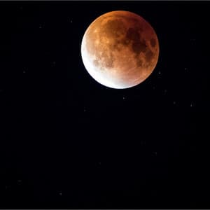 Peaceful Mind, Relaxation Mix - The Sleep Specialist