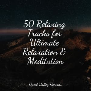 50 Relaxing Tracks for Ultimate Relaxation & Meditation - Nature Ambience