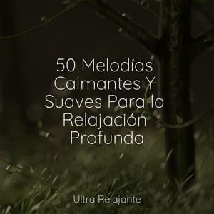 50 Melodías Calmantes Y Suaves Para la Relajación Profunda - Musica para Meditar