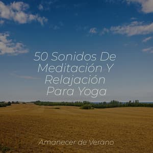 50 Sonidos De Meditación Y Relajación Para Yoga - Masajes Spas