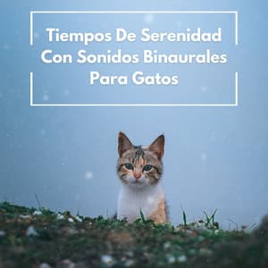 Tiempos De Serenidad Con Sonidos Binaurales Para Gatos - Movimientos Binaurales