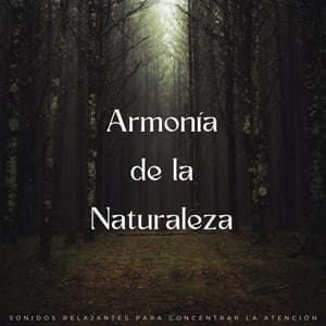 Armonía De La Naturaleza: Sonidos Relajantes Para Concentrar La Atención - Memoria Linda