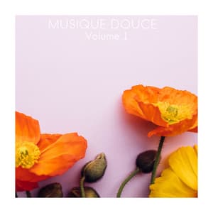 Musique Douce, Vol. 1 - Musique Zen Garden