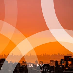 1 LoFi Nap - Total Relax Lo Fi Music
