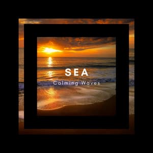 Sea Calming Waves - ASMR Ocean Waves