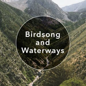 Birdsong and Waterways - Green Nature SPA