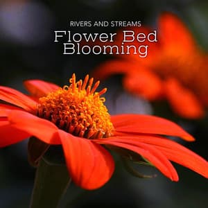 Flower Bed Blooming - Rivers and Streams