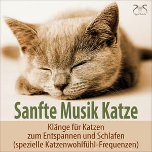 Sanfte Musik Katze - Klänge für Katzen zum Entspannen und Schlafen - Musik für Katzen TA